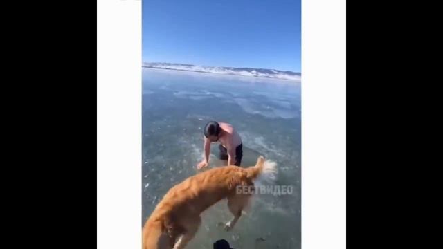 приколы на рыбалке