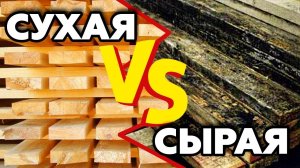 Сухая доска против естественной влажности. Из чего строить каркасный дом Однозначный ответ