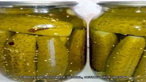 Как заготовить вкуснейшие соленые огурцы с горчицей на зиму
