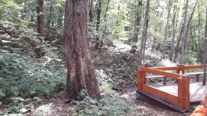 На святом источнике. Анисьины грядки сейчас. #житьвКазани #Анисьиныгрядки