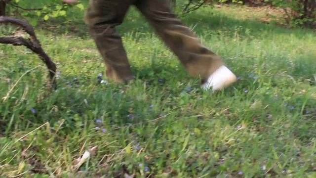 Naturalwirtschaft      Натуральное  хозяйство