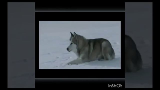 Грустная музыка без слов