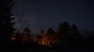 The sound of a cicada on a quiet night.  Звук цикады тихой ночью.