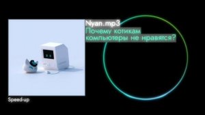 почему котиками в компьютер не нравится??