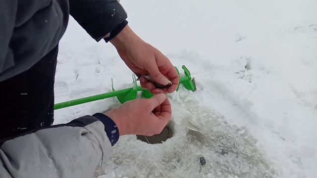 Показываю, как расставляю донки на налима: выбор места, снасти, живец смотреть онлайн