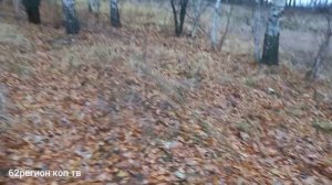 Двух дневный коп, некопанная посадка .металокоп 2021.