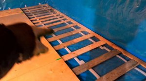 Черновой пол. Часть 2. Укладываем  фанеру.