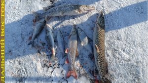 Рыбалка хапугой (хлопок) по перволедью..avi