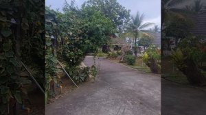 Отель Golden Sand inn Phuket 1 - я линия пляж Карон