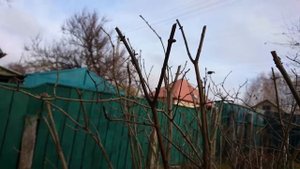 Удобный способ кормления синичек Кормим синичек Любимый корм синиц Просто и легко кормить синичек