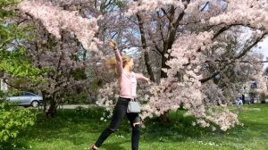 Цветущий Баден-Баден, Германия/ Blossom in Baden-Baden, Germany