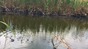 Рыбалка на Паук. Ловим Подъемником на речке.