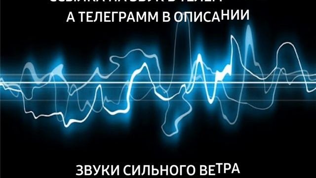 ЗВУКИ СИЛЬНОГО ВЕТРА|ЗВУКИ ДЛЯ РАССЛАБЛЕНИЯ|БИБЛИОТЕКА ЗВУКОВ