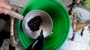 КАК БЫСТРО ОЧИСТИТЬ ЯГОДЫ ОТ ЛИСТЬЕВ И МУСОРА.