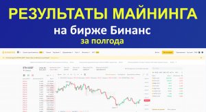 Результаты майнинга за полгода