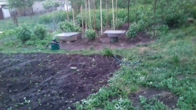 ОРОСИТЕЛЬ ДОЖДЕВАТЕЛЬ и КАПЕЛЬНЫЙ ПОЛИВ. Полив огорода с минимальными УСИЛИЯМИ.