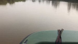 Кайман 250 + ямаха4