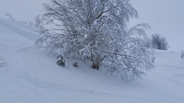 Снегоход Буран.Полный газ-Буран не спас.Вижас НАО смотреть онлайн
