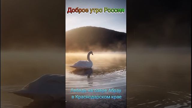 Доброе утро, страна!✌

?? Россия-самая лучшая страна в мире, а все остальные страны нам завидуют!