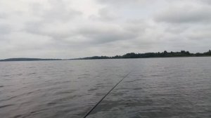Ловля окуня на малька в Ленобласти