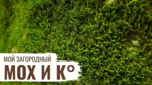 Мох и К° // Мой Загородный