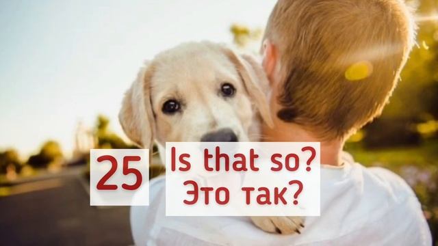 Топ 50: АНГЛИЙСКИЕ ФРАЗЫ. Учим английский язык. Английский для начинающих. АНГЛИЙСКИЙ ЛЕГКО
