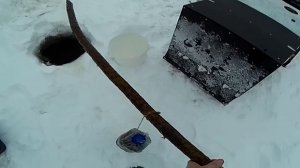 Новогодняя проверка