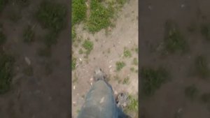 Заливка потолка в бане(1)
