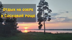 Семейный отдых с детьми. Озеро Горькое. Сосновая роща. Тропа здоровья. Ночевка в палатке.