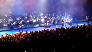 СимфоЦой. 22.10.16. Красно-желтые дни.