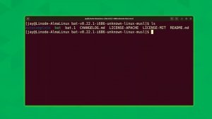 Supercharged Linux Commands | bat Makes cat Even More Useful