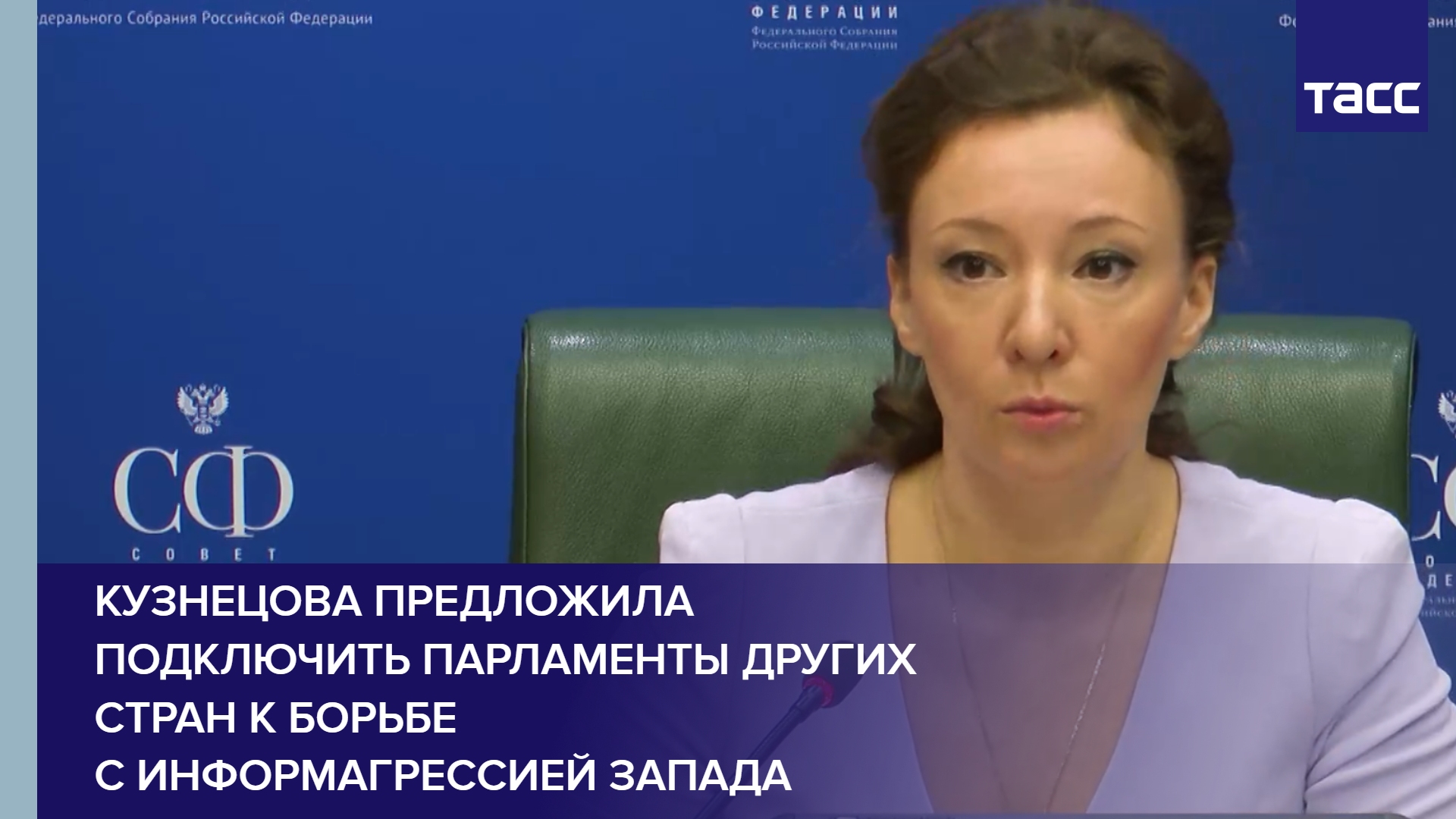 Кузнецова предложила подключить парламенты других стран к борьбе с информагрессией Запада