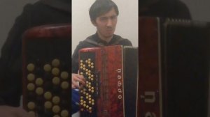 Чёрные глаза на баяне