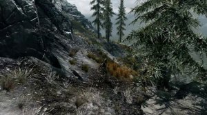 The Elder Scrolls V - Skyrim - 4k -  i7 7700k GTX1070