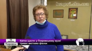 Квітка щастя: у Покровському музеї триває виставка фіалок