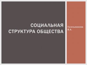 Социальная структура общества