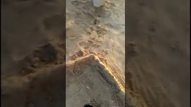 Я построил замок из песка размером 1,5 на 1,6 метров! #песочница #shorts #замокизпеска смотреть онлайн