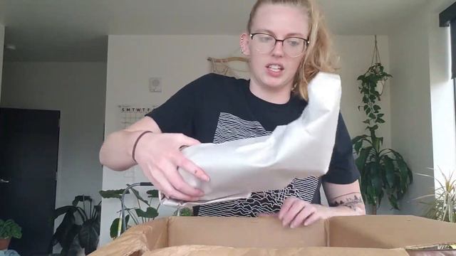 Steves Leaves Houseplant Unboxing!