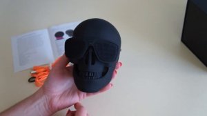 Полный обзор блютуз колонки Skull Bluetooth Speaker