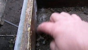 зимовка пчел - Игорь, почему у тебя пчелы не задыхаются при зимовке с одним круглым летком ?