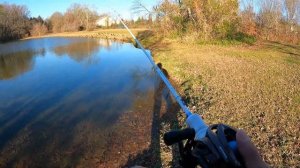 First Fishing Impression: KastKing Valiant Eagle 2 BFS Reel and Centron Lite BFS Rod