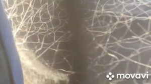 рыбалка на сети на немте 25 апреля 2021 г.