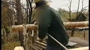 затягиваем брёвна лебёдкой из тонкомерных брёвен и верёвкой по лежням.