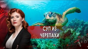 Суп из черепахи. Тайны Чапман. (21.10.2021).