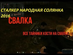 СТАЛКЕР НАРОДНАЯ СОЛЯНКА 2016 ВСЕ ТАЙНИКИ КОСТИ НА СВАЛКЕ