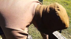 БЕТОННЫЙ СТОЛБ ДЛЯ ШПАЛЕР 3.2 МЕТРА ВСЕГО 150 РУБЛЕЙ...СВОИМИ РУКАМИ!!!