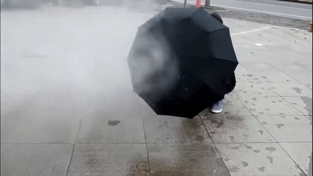 Автоматический зонт Primo TopX DYD164 - Black смотреть онлайн