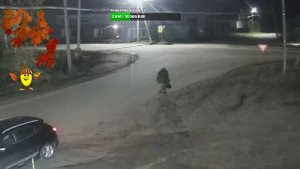 Демянск Онлайн