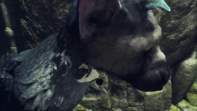 The Last Guardian. Последний хранитель. PS4 1080p. Часть 8. Прохождение. смотреть онлайн