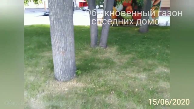 Инновационный газон у Коляда-театра смотреть онлайн